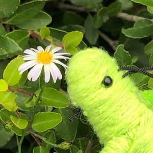 Meet your Posher, Valentina